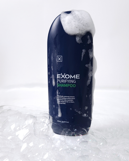 Reinigendes Shampoo (für tägliche Anwendung)